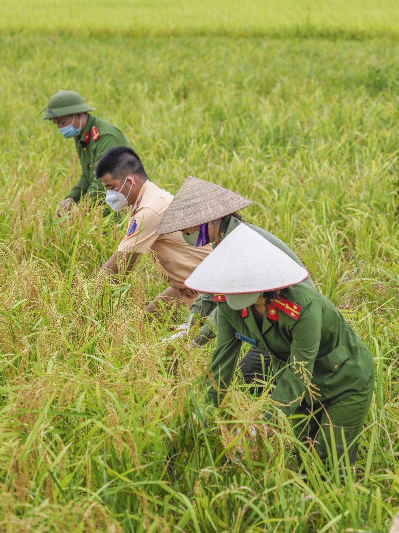 Bộ Sưu Tập Hình Nền Công An Nhân Dân Xuất Sắc