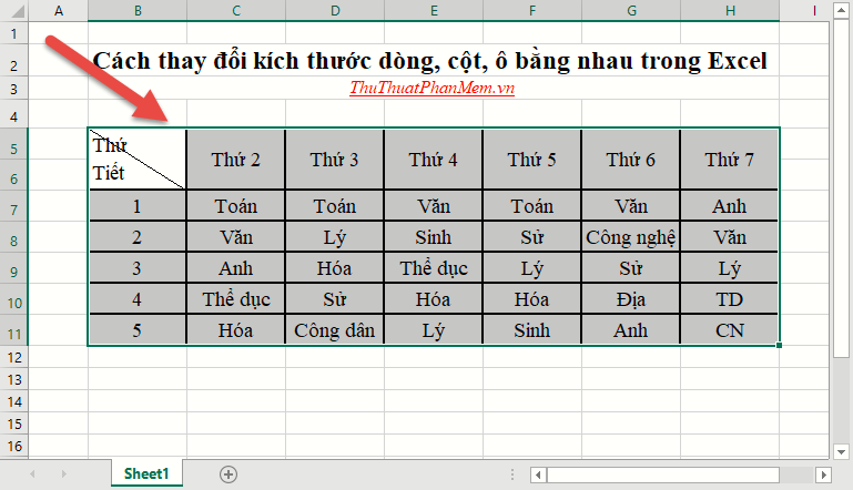 Cách điều chỉnh kích thước dòng, cột, ô đồng đều trong Word và Excel