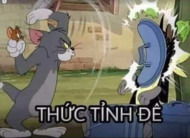 Bộ sưu tập những hình ảnh meme Tom and Jerry hài hước