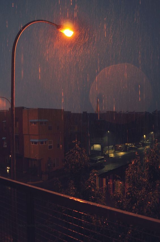 Bức tranh mưa đêm đẹp nhất