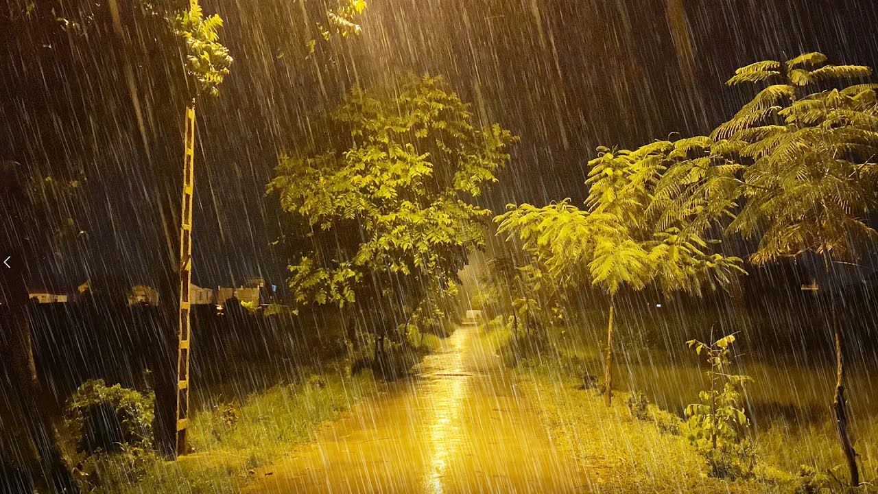 Bức tranh mưa đêm đẹp nhất