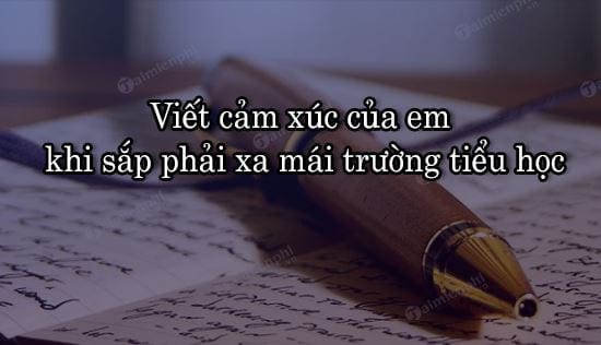 Lập Dàn Ý Cảm Nghĩ Về Mái Trường Thân Yêu: Hành Trình Từ Trái Tim