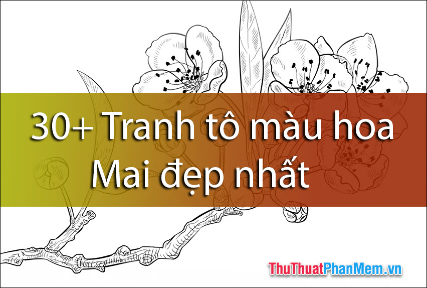 Tô màu Cây Tre Việt Nam - Tô màu trực tuyến