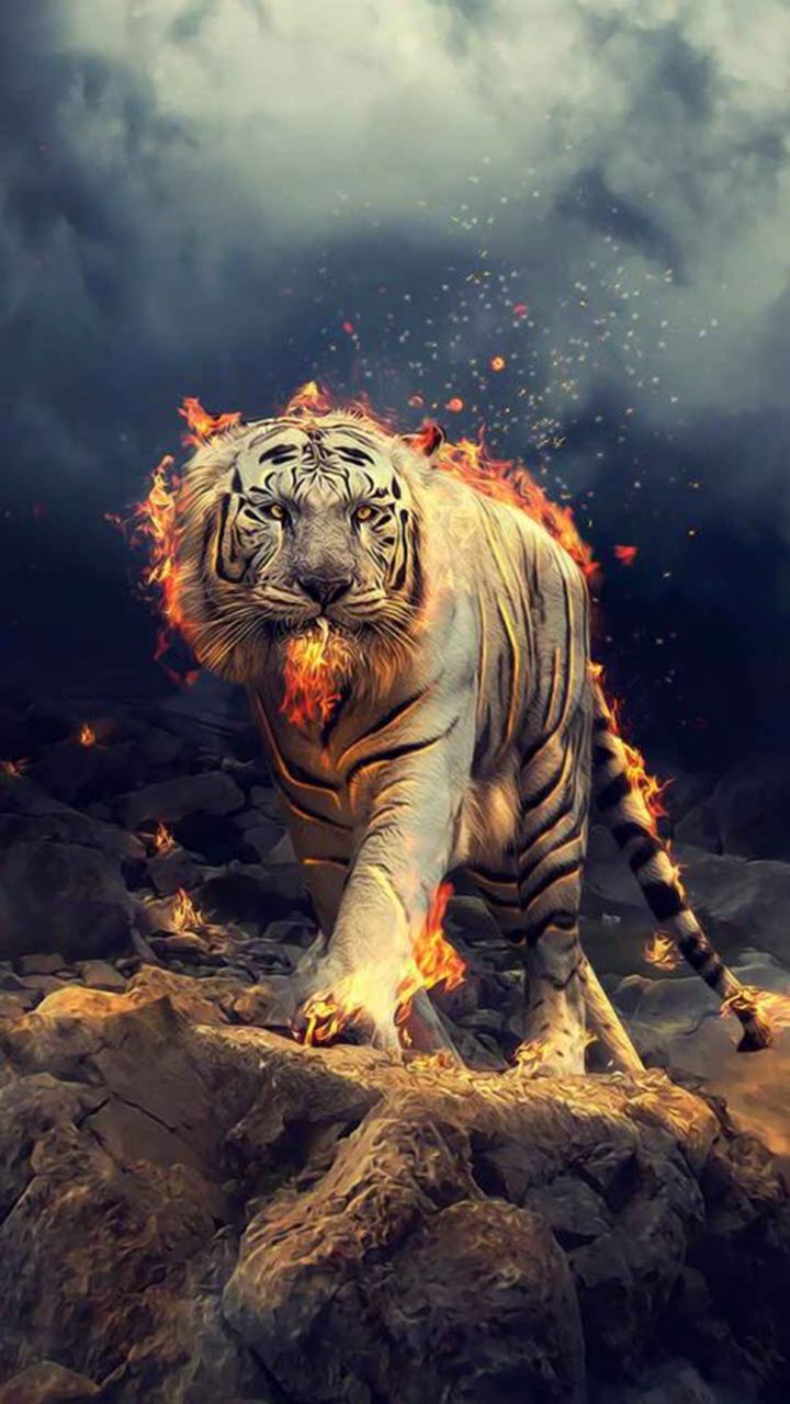 TOP 60+ Hình ảnh hổ 3D đẹp, siêu chất, siêu ngầu đầy dũng mãnh, thể hiện cá  tính mạ… | Guías espirituales de animales, Pintura del tigre, Fotos de  animales salvajes