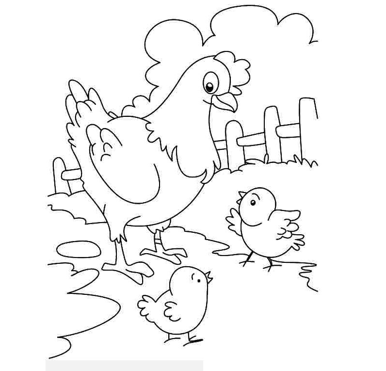 Bộ tranh tô màu về chủ đề con gà cho bé yêu