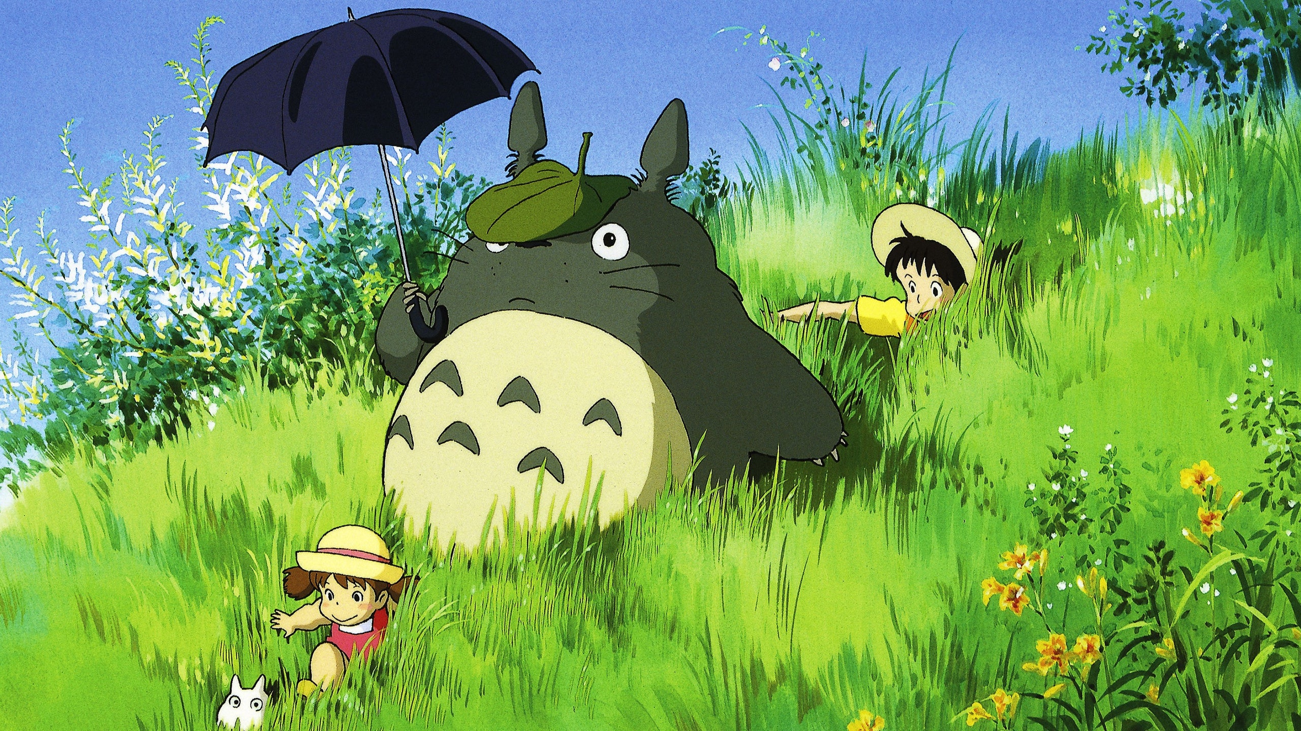 99+ Hình nền Totoro đẹp, đáng yêu, ngộ nghĩnh khiến bạn phải mê mẩn