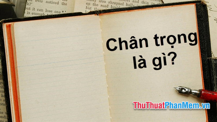 Chân trọng hay trân trọng? Từ nào đúng chính tả tiếng Việt?