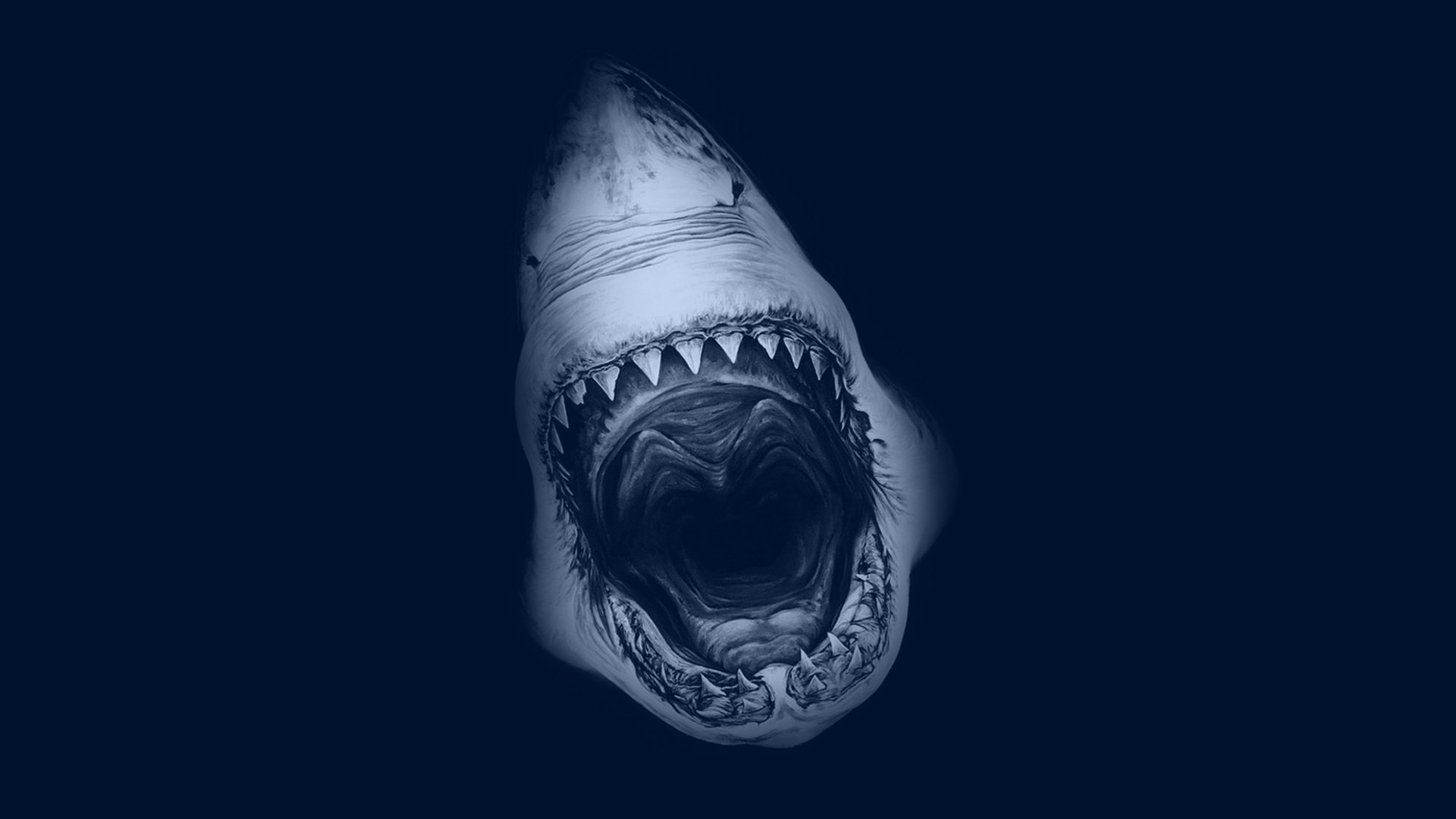 87,000+ Hình ảnh Cá Mập Voi tải xuống miễn phí - Pikbest6