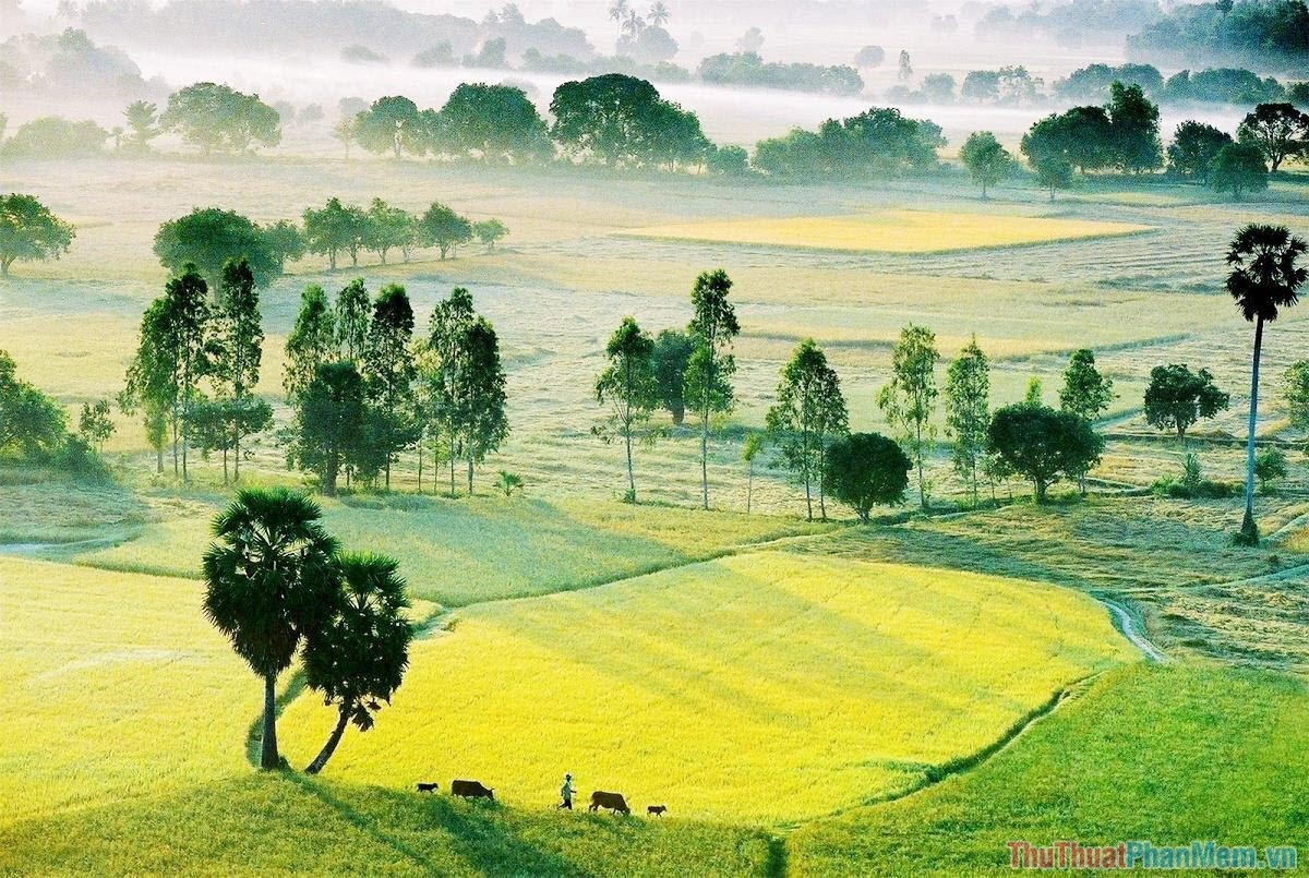 1 Mẫu đất bằng bao nhiêu mét vuông Bao nhiêu sào bao nhiêu Hecta