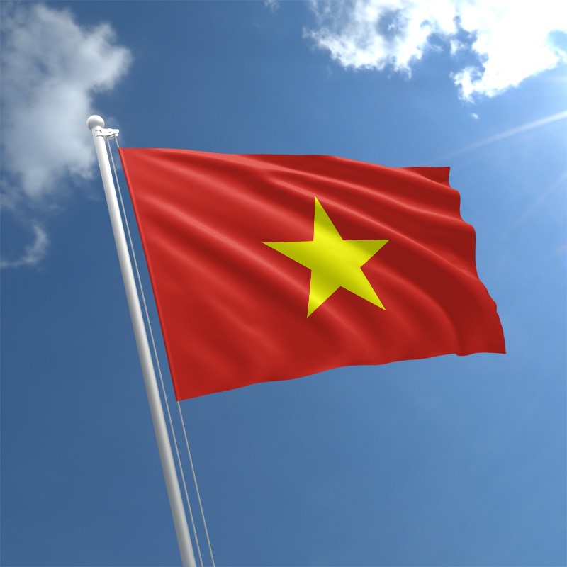 Bức tranh tuyệt vời của lá cờ Việt Nam