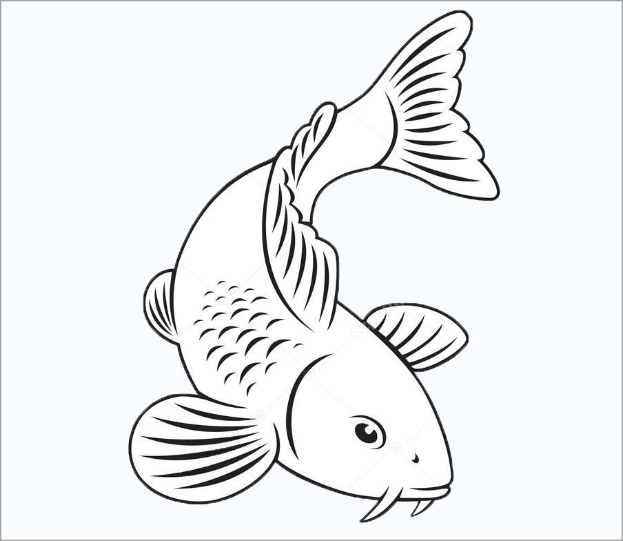 How to draw a Goldfish in 60 seconds, cách vẽ con cá vàng -  drawingsforkids.net