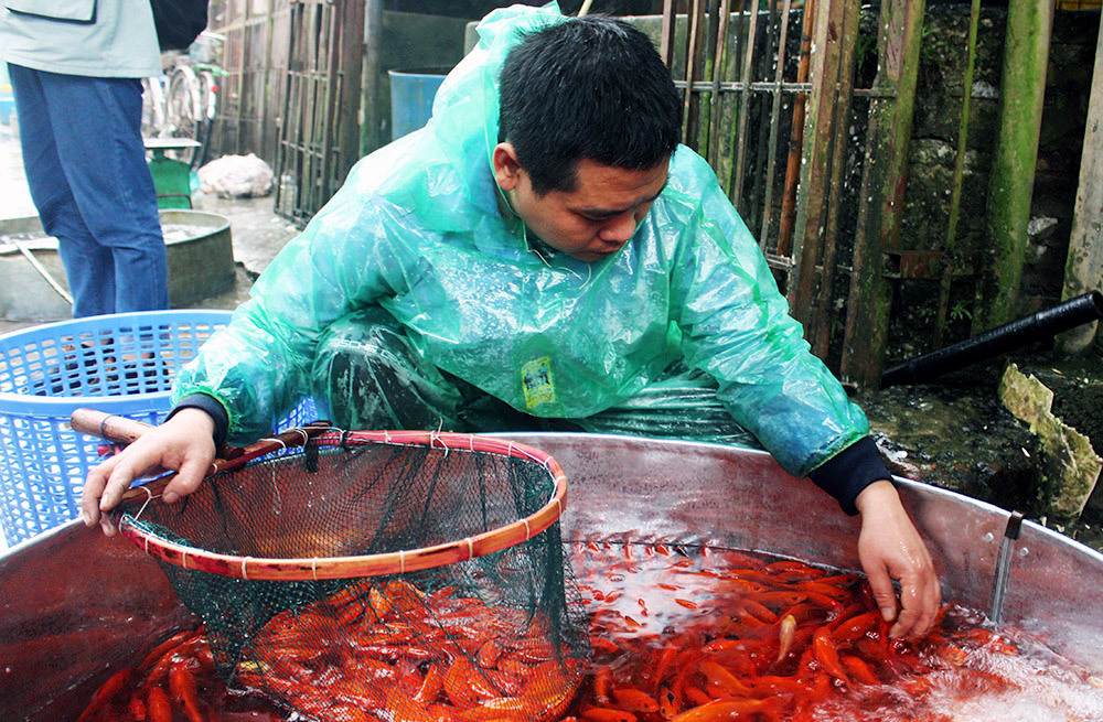 Hình ảnh ông Công ông Táo tuyệt đẹp