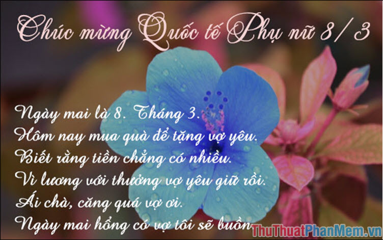 Chùm Thơ 8/3 - Những Bài Thơ Hay Nhất