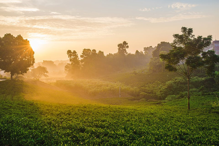 Bình minh tuyệt vời trên cánh đồng