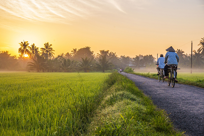 Bình minh tuyệt vời trên cánh đồng