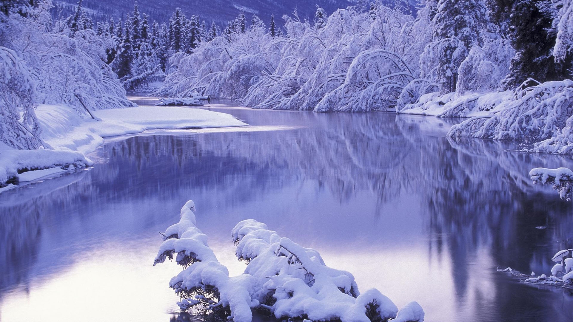 Tuyển chọn những hình nền mùa đông đẹp nhất