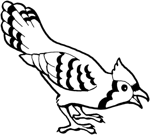 Tô Màu Con Chim - Trang 5 trên 5 - Tranh Tô Màu Cho Bé
