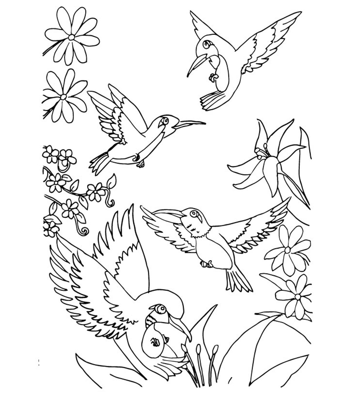 Cách vẽ một con vẹt - Hướng dẫn vẽ dễ dàng từng bước - Cách vẽ