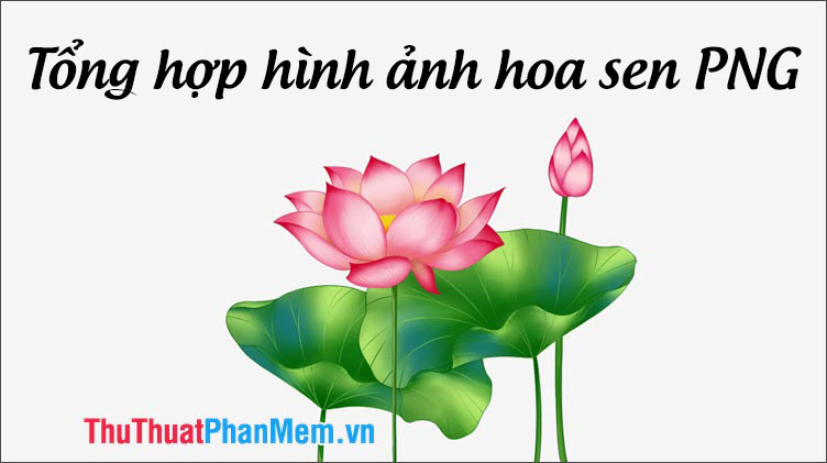 Vẻ đẹp tinh túy của hoa sen Việt - HỘI KỶ LỤC GIA VIỆT NAM - TỔ CHỨC KỶ LỤC  VIỆT NAM(VIETKINGS)