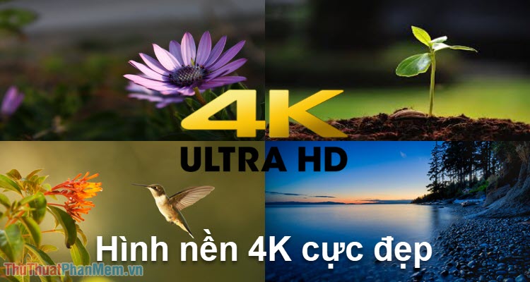 100+ Hình Nền Máy Tính 4k Full HD Đẹp Ngầu Độc Lạ Nhất