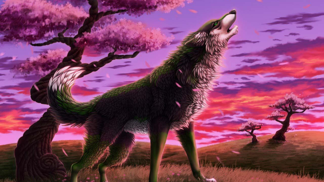 Hình nền sói 3D cực đẹp | Hình nền, Động vật, Hình