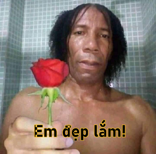 Meme vô cùng dễ thương - Tổng hợp những hình ảnh hài hước về vẻ đẹp đỉnh cao