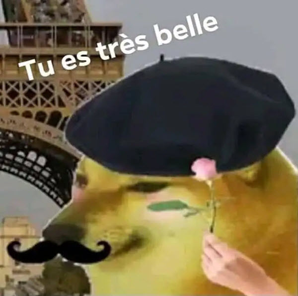 Meme vô cùng dễ thương - Tổng hợp những hình ảnh hài hước về vẻ đẹp đỉnh cao