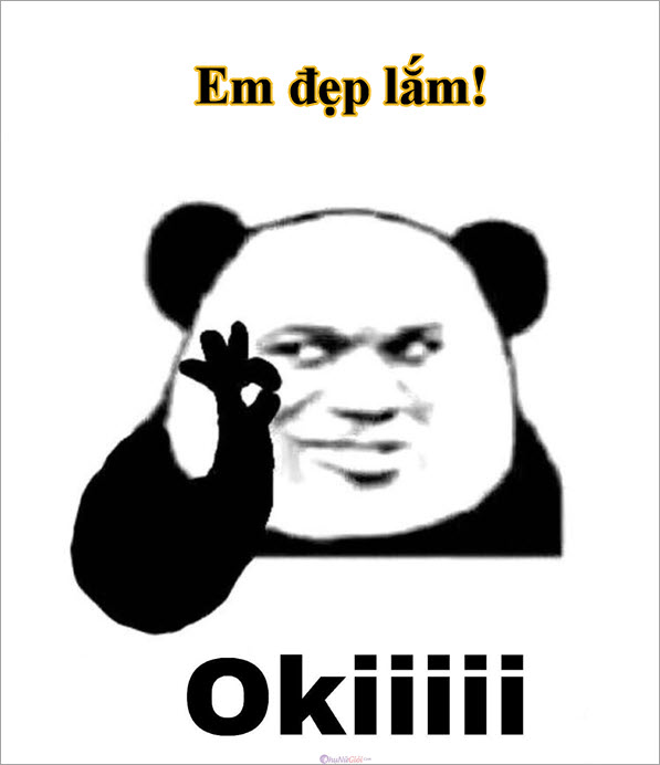 Meme vô cùng dễ thương - Tổng hợp những hình ảnh hài hước về vẻ đẹp đỉnh cao
