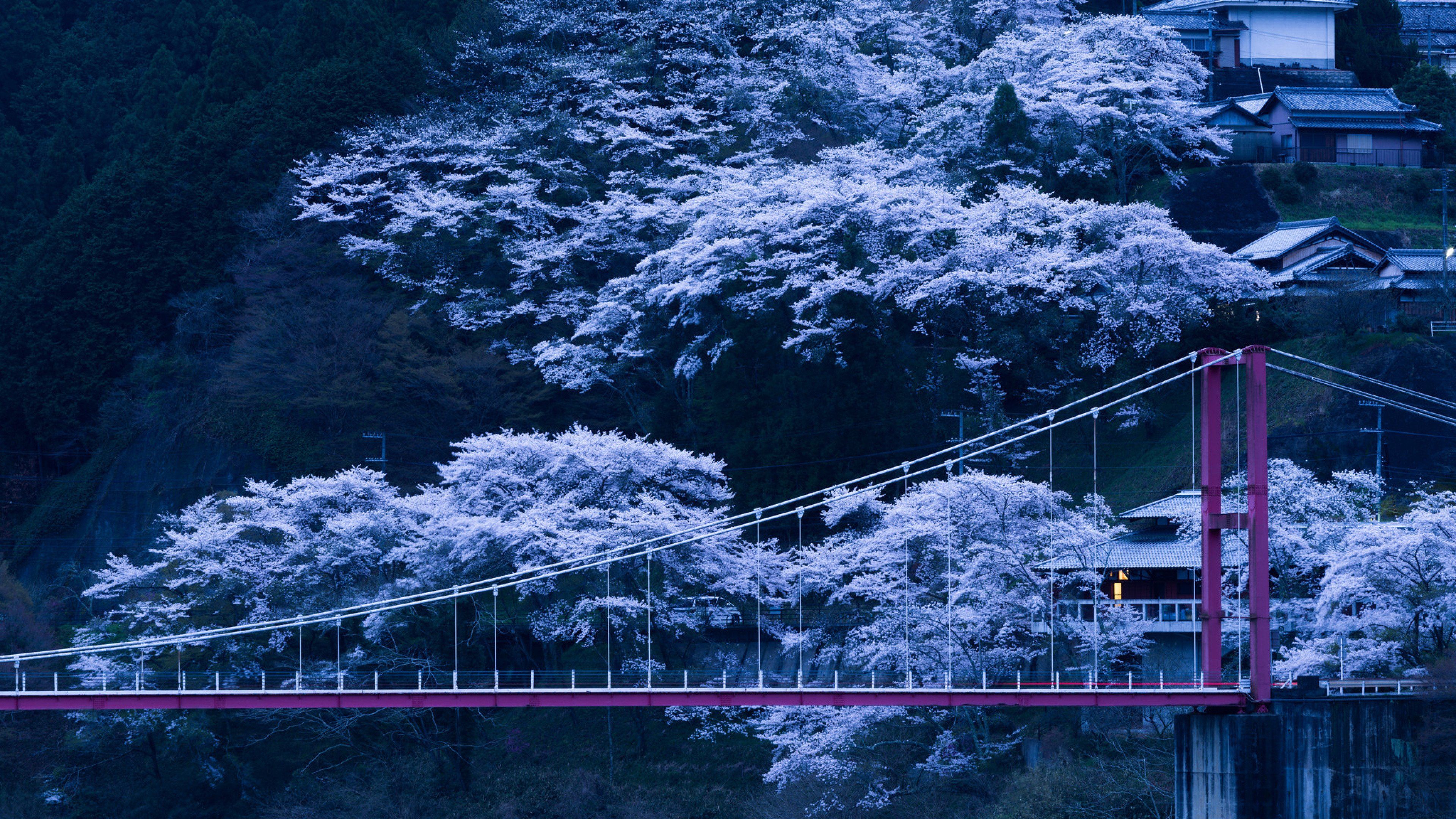 50+ hình nền phong cảnh tuyệt đẹp cho điện thoại | Kyoto japan, Phong cảnh,  Du lịch