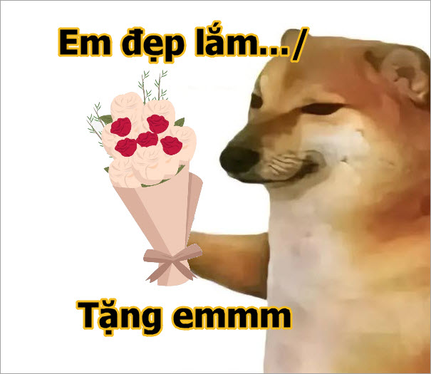 Meme vô cùng dễ thương - Tổng hợp những hình ảnh hài hước về vẻ đẹp đỉnh cao