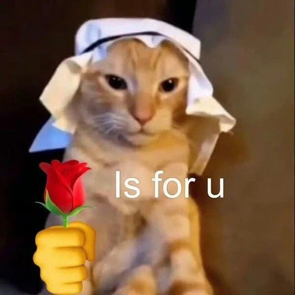 Meme vô cùng dễ thương - Tổng hợp những hình ảnh hài hước về vẻ đẹp đỉnh cao