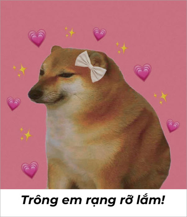 Meme vô cùng dễ thương - Tổng hợp những hình ảnh hài hước về vẻ đẹp đỉnh cao