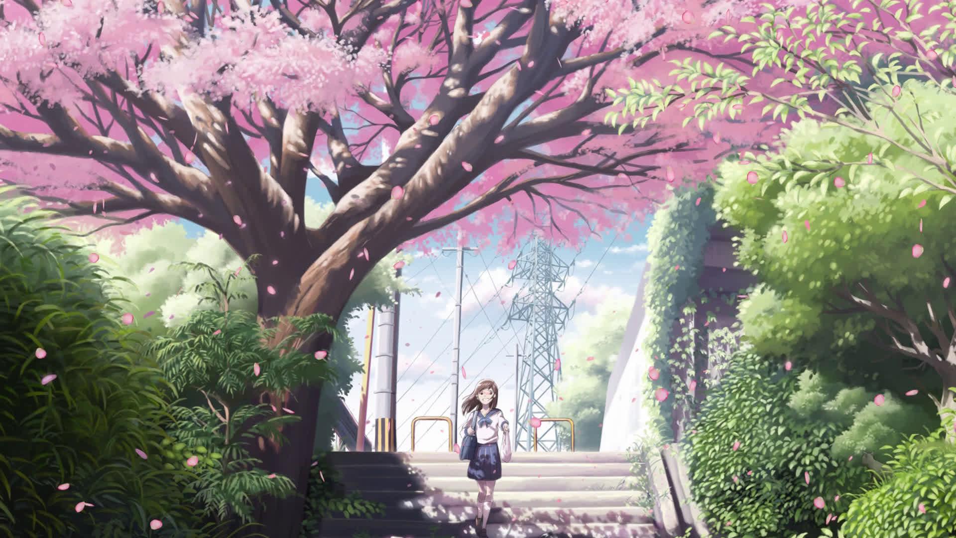Khám phá vẻ đẹp tinh tế của Anime Chill