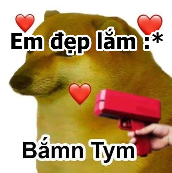 Meme vô cùng dễ thương - Tổng hợp những hình ảnh hài hước về vẻ đẹp đỉnh cao