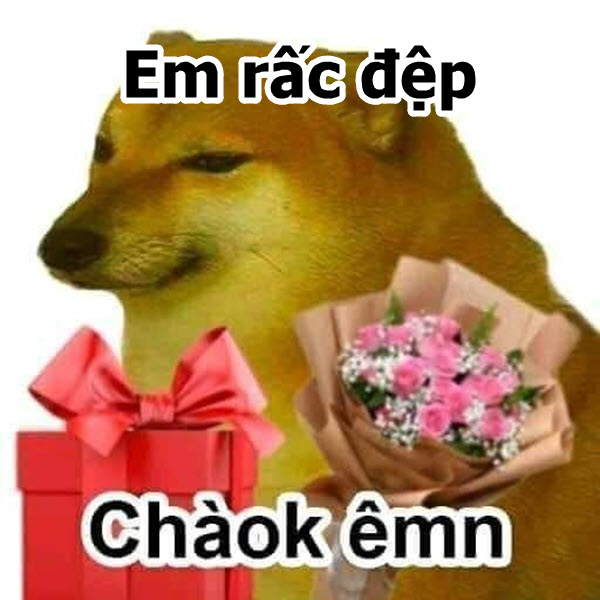 Meme vô cùng dễ thương - Tổng hợp những hình ảnh hài hước về vẻ đẹp đỉnh cao