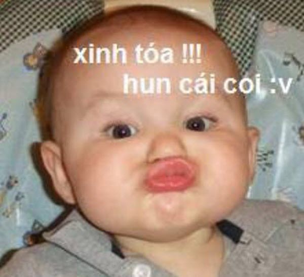 Meme vô cùng dễ thương - Tổng hợp những hình ảnh hài hước về vẻ đẹp đỉnh cao