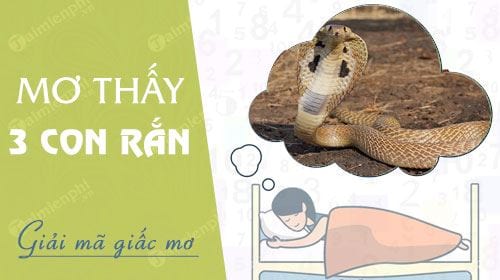 3. Dự Đoán Tương Lai Qua Giấc Mơ