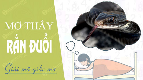 Mơ Thấy Rắn Đuổi Đánh Con Gì - Khám Phá Ý Nghĩa Và Con Số May Mắn