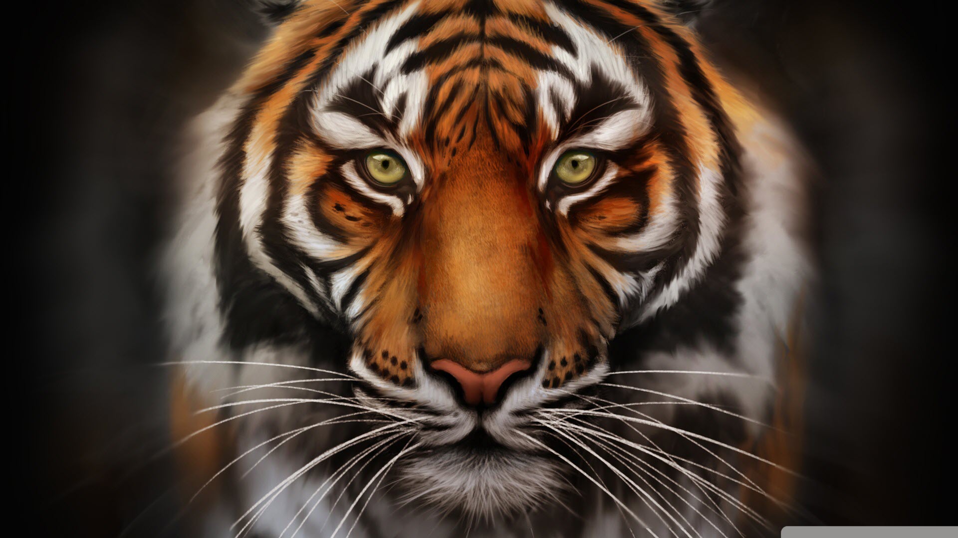 Hình nền hổ 3D cực đẹp cho điện thoại | Con hổ, Hình nền, Động vật