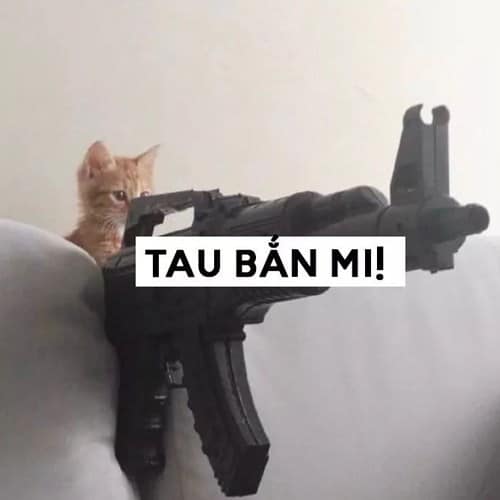 Meme Mèo Tuyển Chọn, Hài Hước Tột Bậc