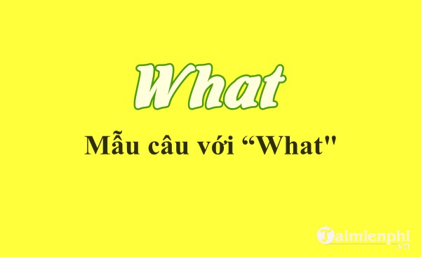 What là gì Ý nghĩa của What trong tiếng Anh và tiếng Việt