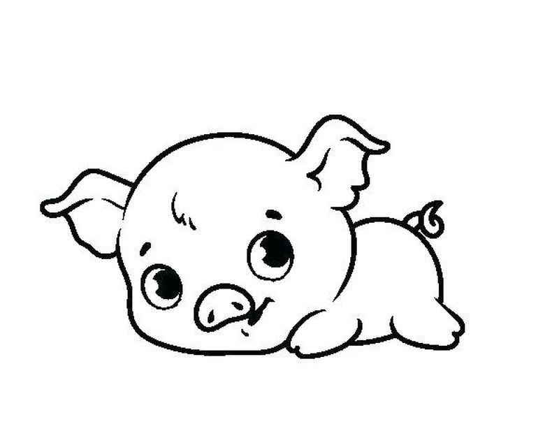 Mẫu tranh tô màu cho bé hình chú lợn con đáng yêu | Vẽ hoạt hình, Dễ  thương, Nhật ký nghệ thuật