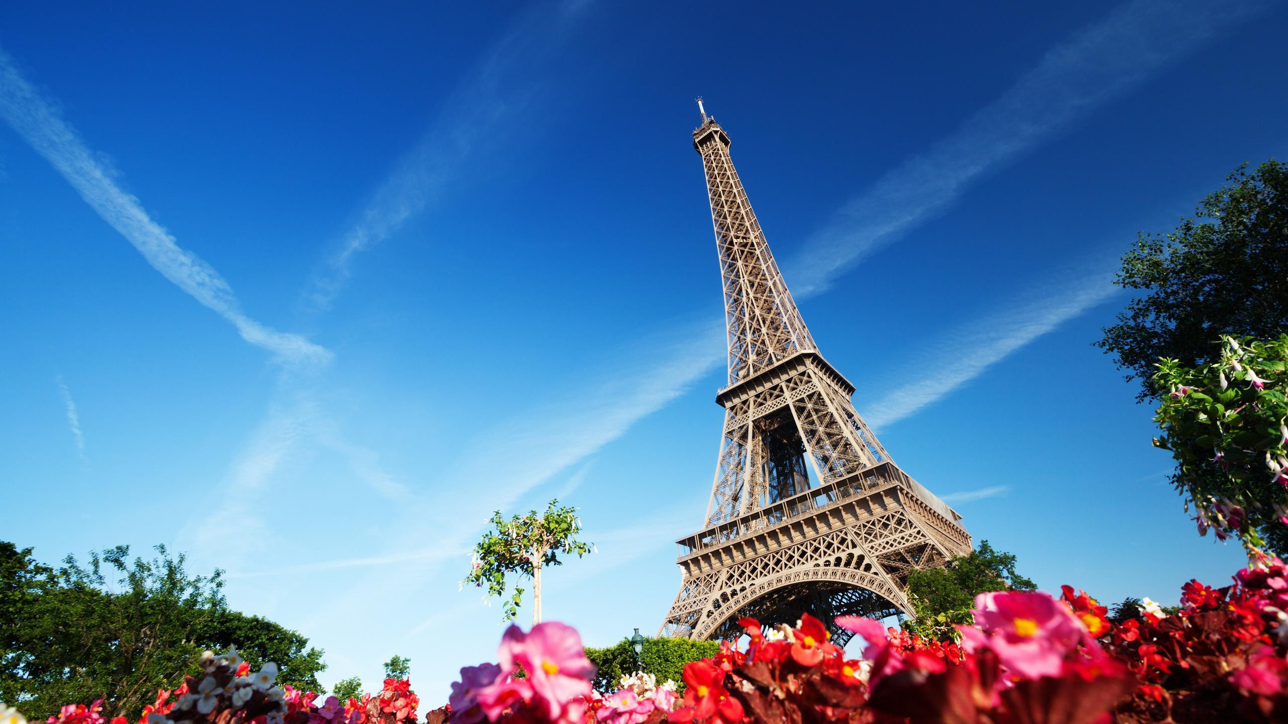 Hình nền tháp Eiffel đẹp