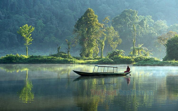 Khám phá vẻ đẹp bình yên qua những bức ảnh nền đẹp nhất