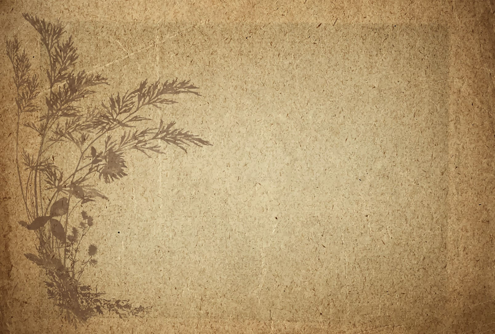 Khám phá vẻ đẹp của background giấy
