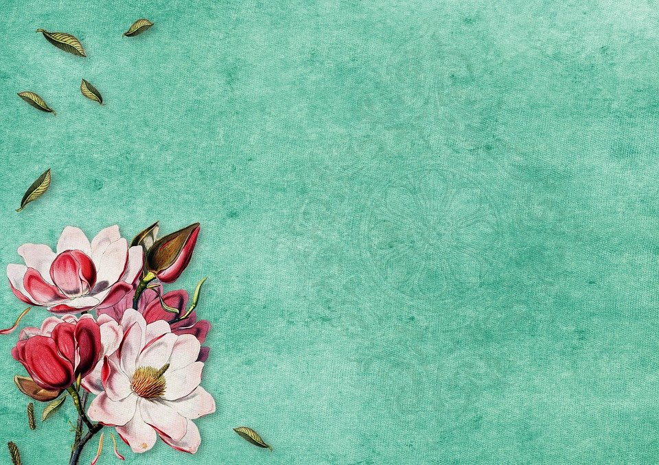 Khám phá vẻ đẹp của background giấy