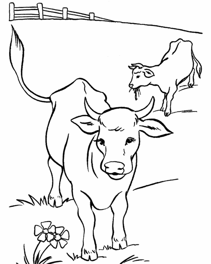 Hình ảnh Vẽ Con Bò Nhỏ Dễ Thương Trên Nền Trắng Tranh Tô Màu Phác Thảo Bản  Vectơ PNG , Vẽ Con Bò, Vẽ Cánh, Vẽ Chiếc Nhẫn PNG và Vector với