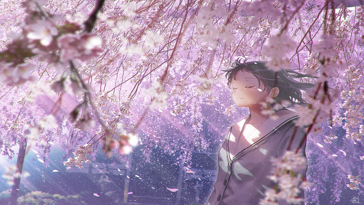 Khám phá bức tranh hoa Anh Đào trong thế giới anime tuyệt vời