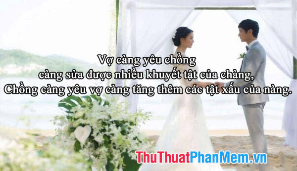 Tinh hoa về tình yêu và hôn nhân