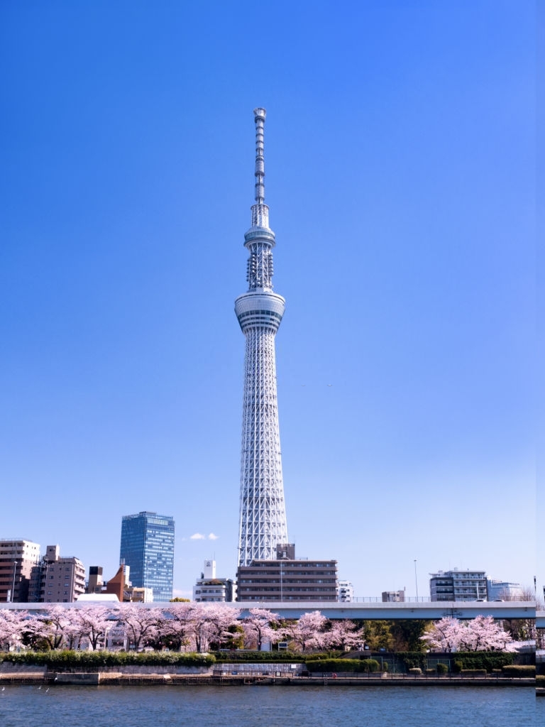 Ghé thăm tháp Tokyo và khám phá “tất tần tật” những điều chưa biết